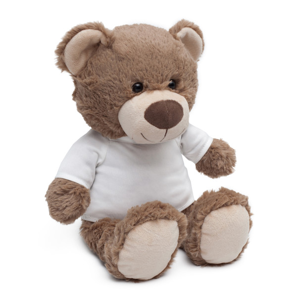 Big Teddy cuddly toy