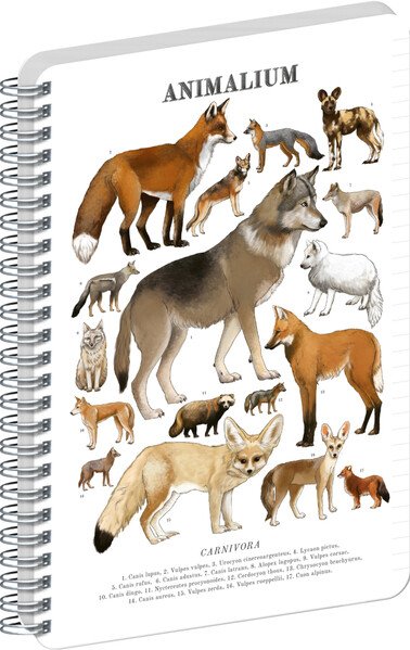 Notique Spirálový Blok Animalium – Psovité Šelmy, Linkovaný, A5