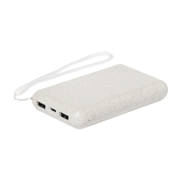 Power Bank Surum