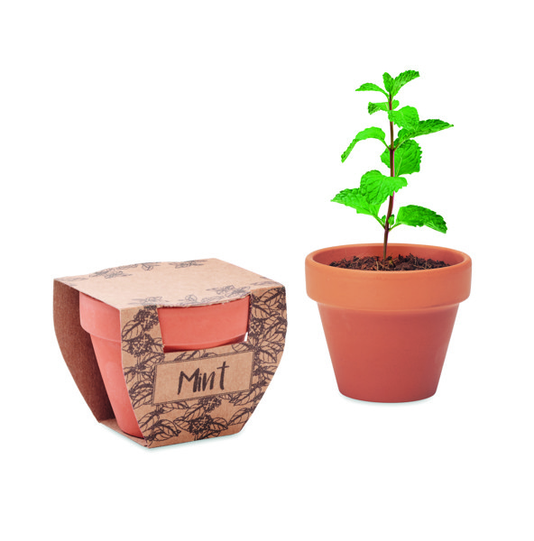 Komplet zelišč Mint Pot iz terakote, 60x55x50 mm
