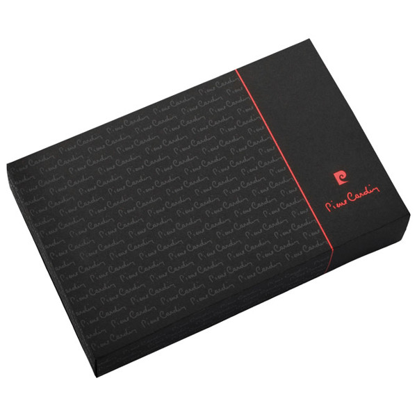 Lighter electronic Pierre Cardin Electric rechargeable via USB H6800100IP3 dark gray