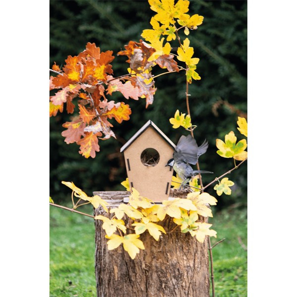 Vogelhaus Eco Home