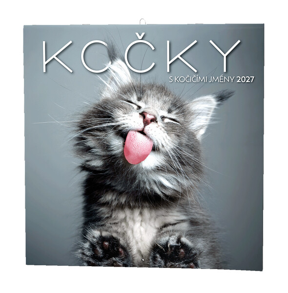 Nástěnný Kalendář - Kočky