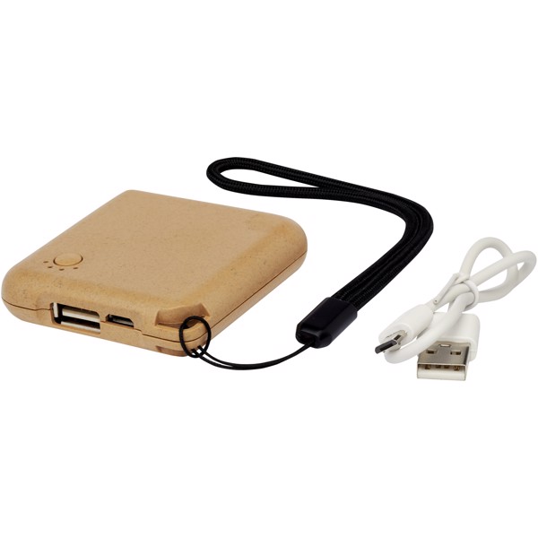 Batterie de secours Eco 2000 mAh