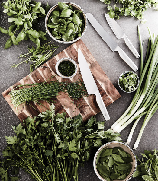 Vinga santoku nož, japonsko jeklo 420 J2