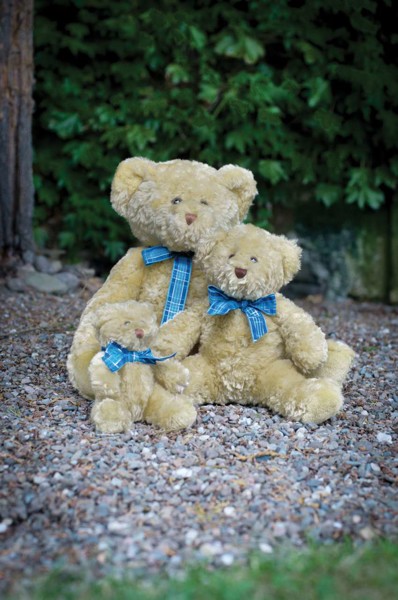 Mumbles Bracken Bear - S