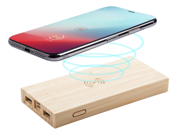 Power Bank Wooster