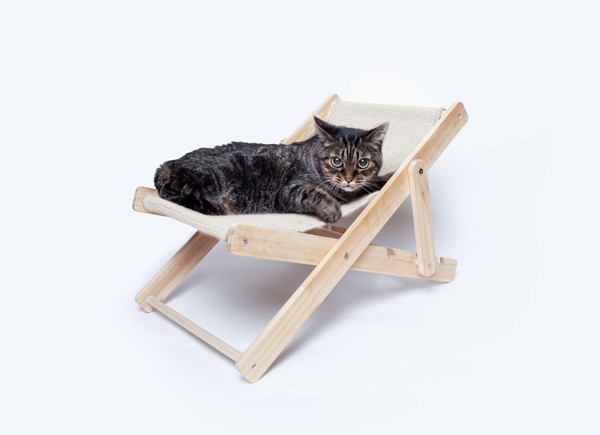 Pet Chair Diny