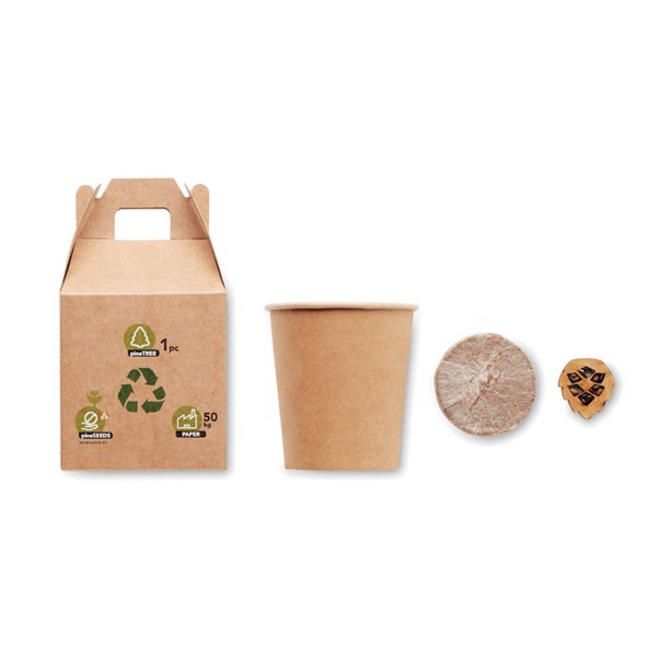 Growtree pine seed set, paper, made in EU