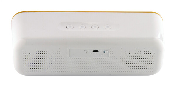 Haut-parleur sans fil Herkool