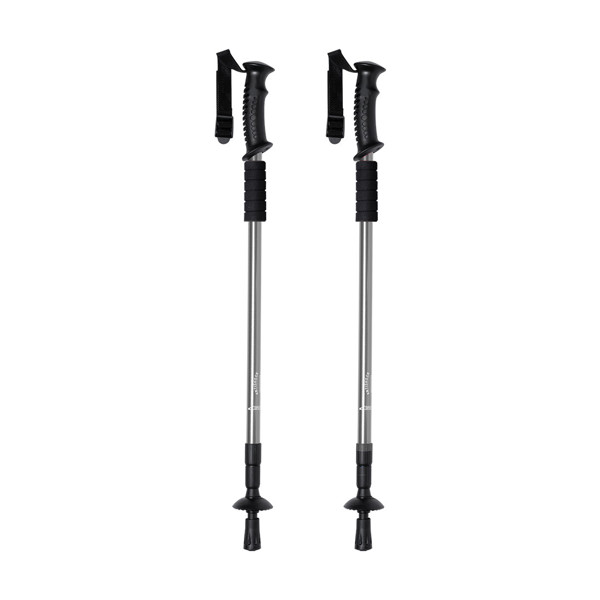 Walking Poles Set Brulen - Silver