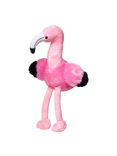 Flamingo Fernando