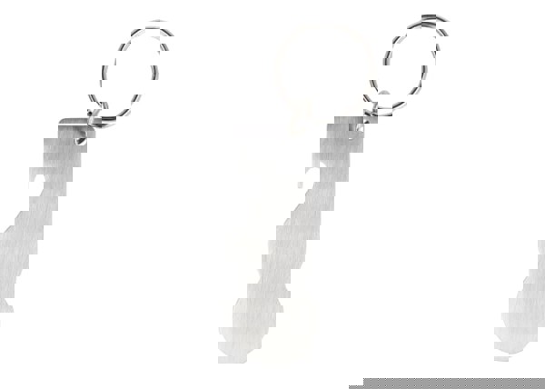 Stainless Steel Trolley token key ring