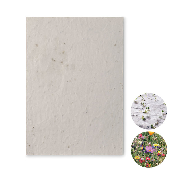 A5 wildflower seed paper sheet Aside