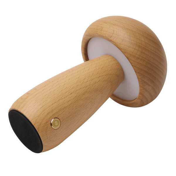 Led Desk Lamp Mosslight
