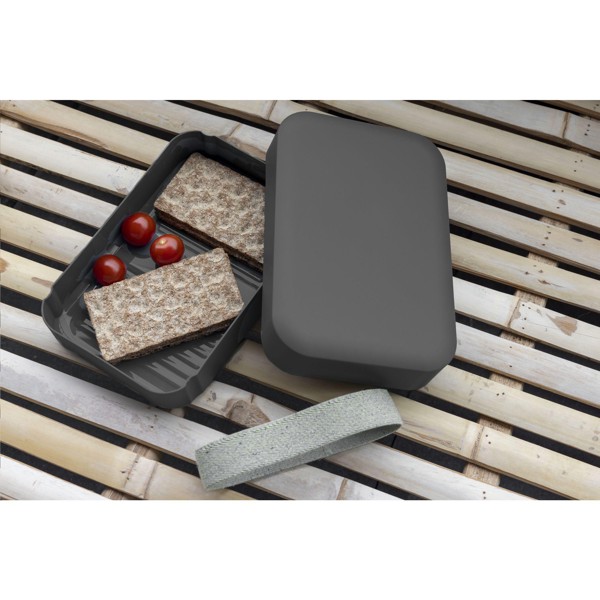 Amuse Recycled PP Lunch Box Large - Grey / Green