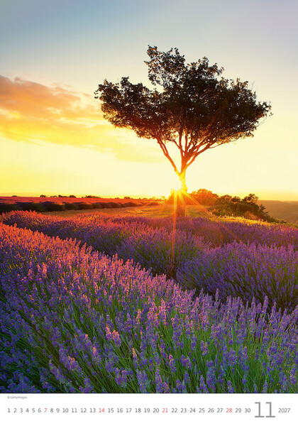 Calendar Provence