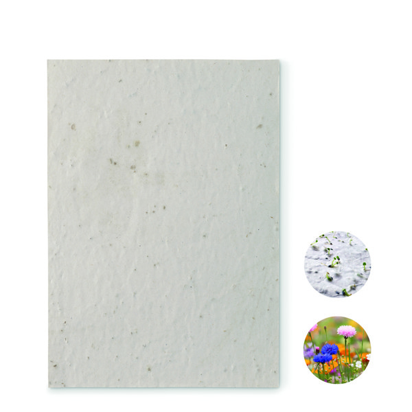 Papier A5 graines de fleurs Aside