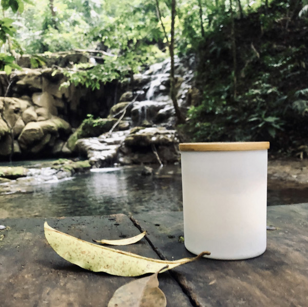 Soybean wax candle 220g - Library - VERA YOUNG