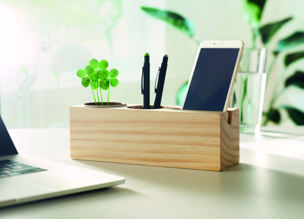 Thila wooden desk stand, pen, phone holder, seeds