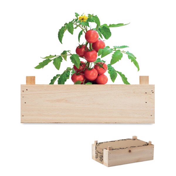 MB - Tomato kit in wooden crate