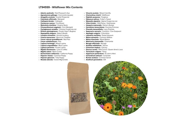 Tüte mit 4 Gramm Wildblumensamen - Braun