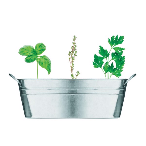 MB - Zinc tub with 3 herbs seeds Mix Seeds