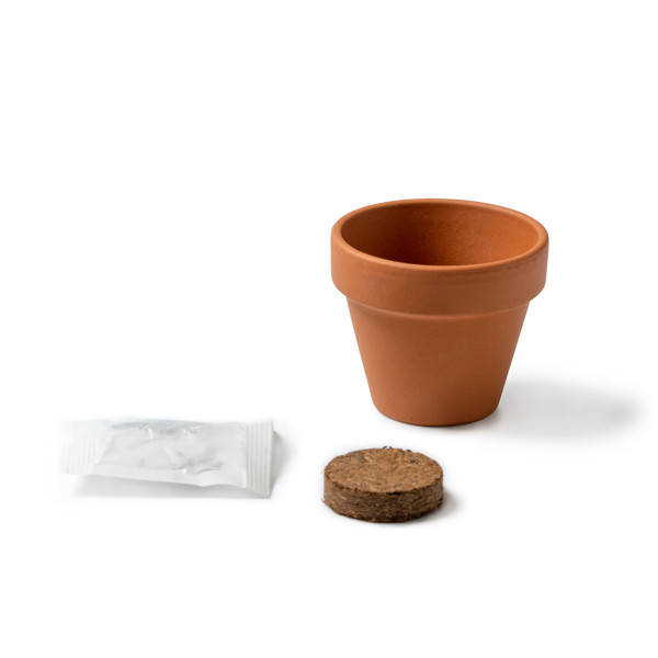 Macetero de terracota personalizado con semillas de girasol