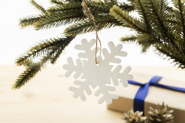 Rpet Christmas Tree Ornament Joulox - Snowflake