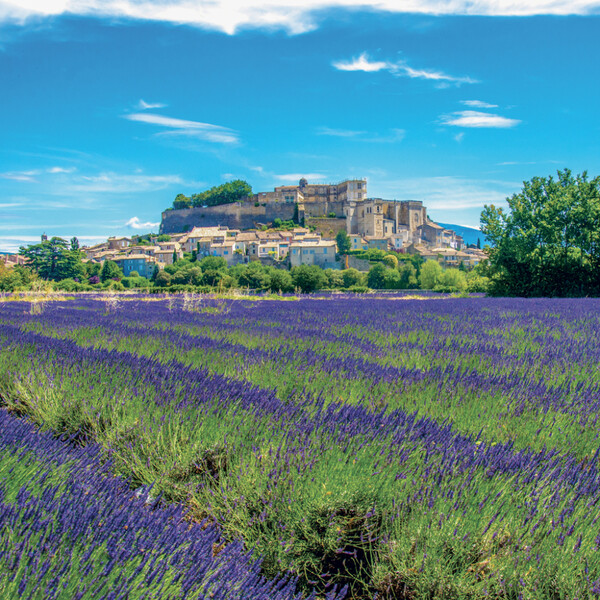 Notique Poznámkový Kalendář Provence 2027, 30 x 30 cm - Východní