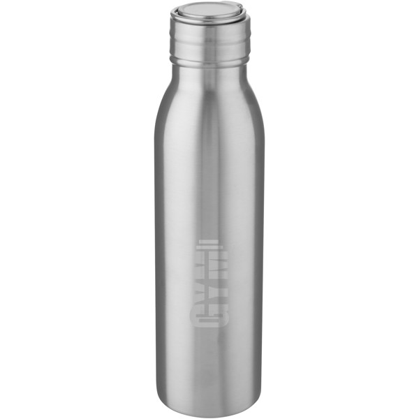 Garrafa desportiva de 700 ml de aço inoxidável com alça de metal "Harper" - Prateado