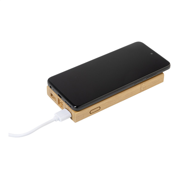 Power bank Wooster