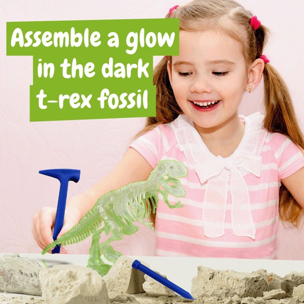 Fossil Excavation Kit I. Jeu éducatif pour enfants