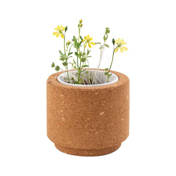 VASO LUWA
