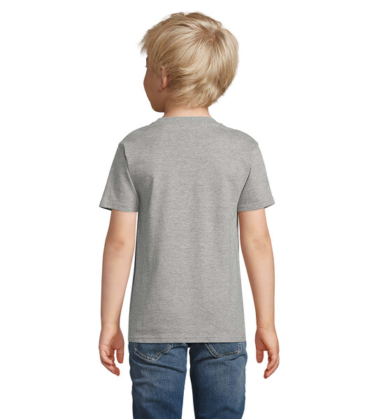 PIONEER T-SHIRT CRIANÇA Pioneer Kids - Cinzento Dois Tons4XL