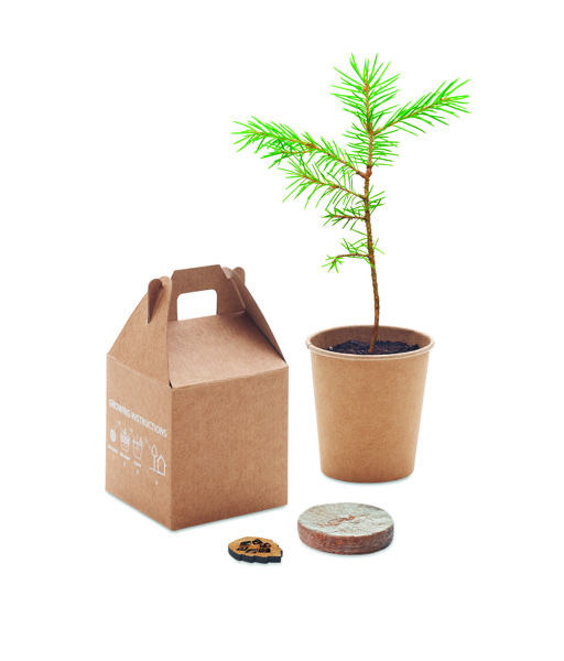 Growtree pine seed set, paper, made in EU