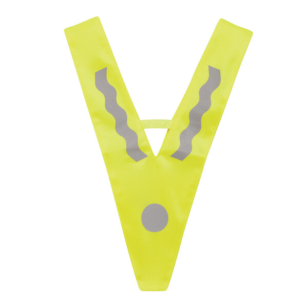 Childrens Safety Vest Victory