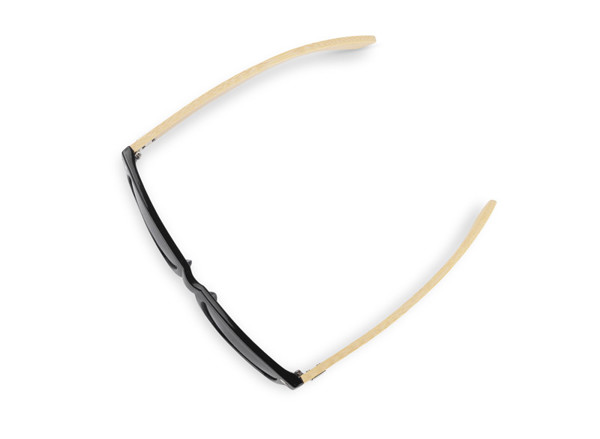 Sunglasses RAIO