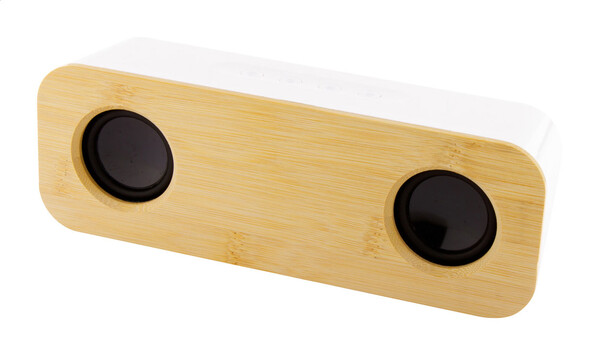 Haut-parleur sans fil Herkool