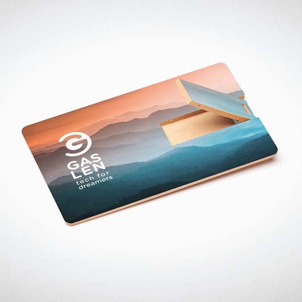 Pen Drive Em Formato De Cartão De Credito
