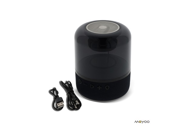 SP101 | Moyoo Smokey Dome speaker