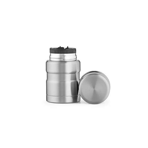 Dali 550 Food Flask - Silver