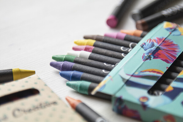 Set de 12 pastels Craxon 12