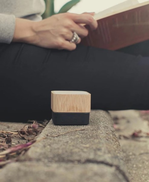 Bamboo bluetooth speaker #2