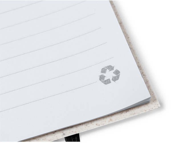 Caderno Fanny