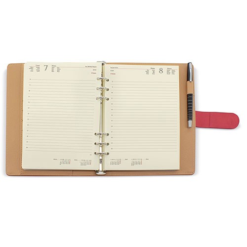 AGENDA REIMS PIERRE CARDIN D/P -