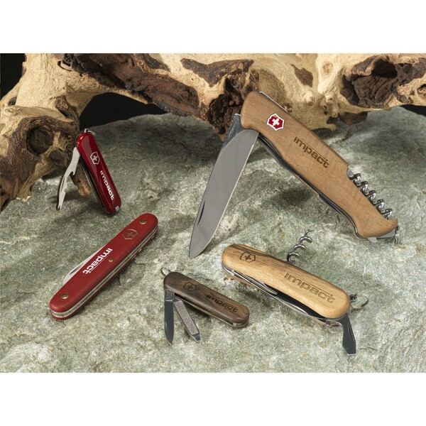 Victorinox Jetsetter