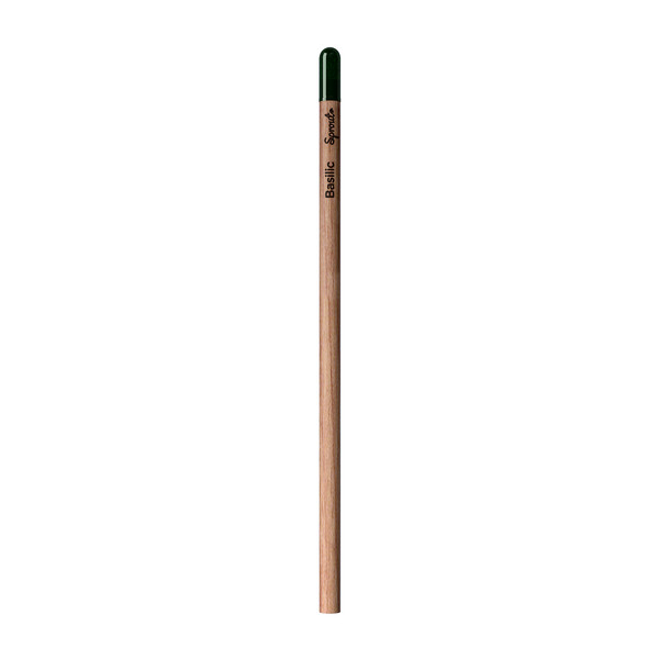 Sprout | Pencil - Thyme - French
