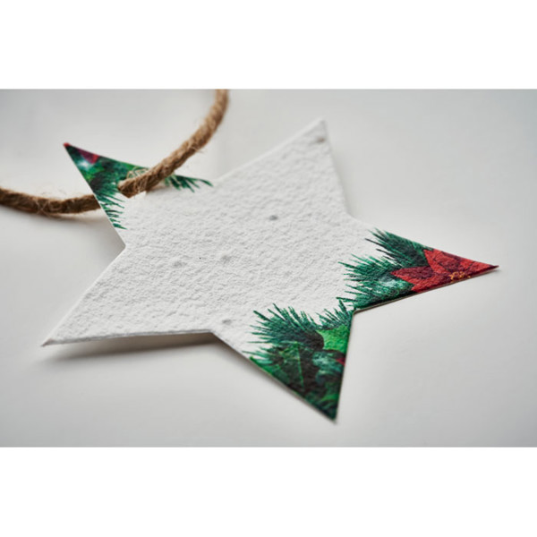 MB - Seed paper Xmas ornament Starseed