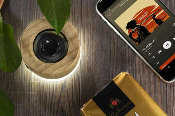 Wireless speaker RORAT